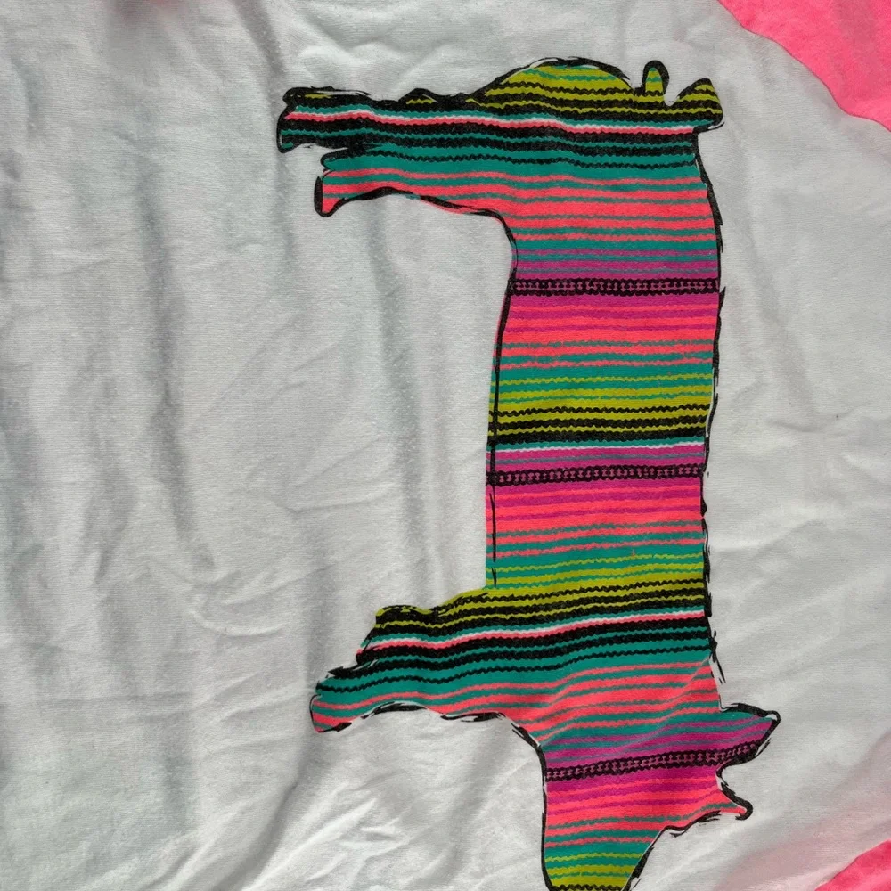 Crazy Train Pink and White Long Sleeve Tee with Striped Animal - Picture 2 of 4